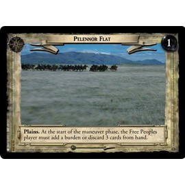 Lord of the Rings TCG - Pelennor Flat - Shadow