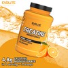 EVOLITE NUTRITION Creatin Monohydrat 1kg - Taurin Kreatin Pulver, Pre