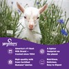 Meyenberg Whole Powdered Goat Milk, 16 Ounce (Pack of 3)