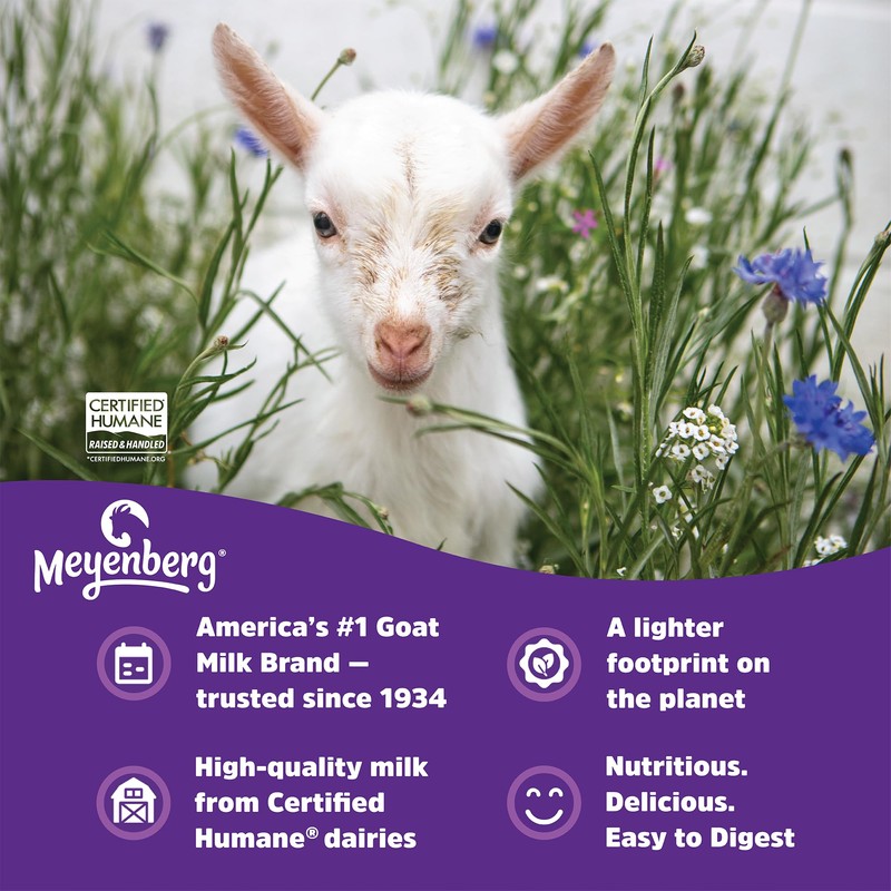 Meyenberg Whole Powdered Goat Milk, 16 Ounce (Pack of 3)