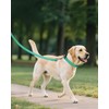 Joytale Dog Collars for Medium Dogs, Comfortable Double-Sided Reflective Nylon