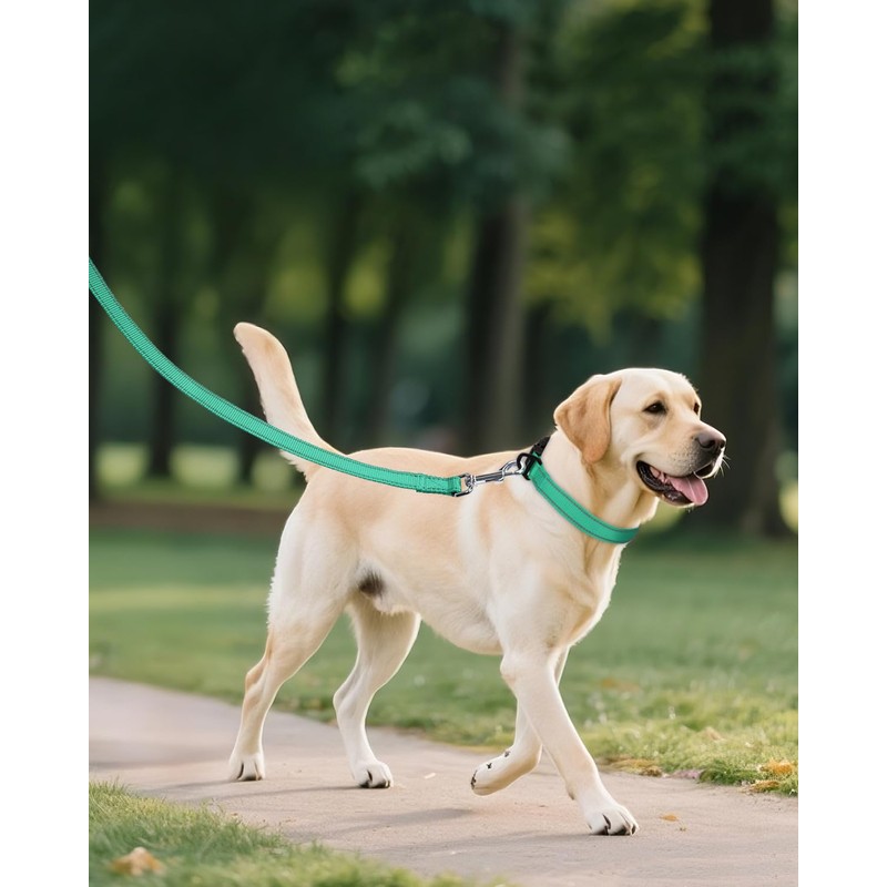 Joytale Dog Collars for Medium Dogs, Comfortable Double-Sided Reflective Nylon