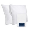 Dreamzie Cushion Protector 65 x 65 cm – Set of