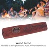 Kazoo Flute Professional Amplified Ham with Wooden Kazoo Mouth Ring
