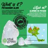 Vital Green Desodorante de Alumbre de Potasio, Aloe Vera, 100g,