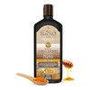 Tio Nacho Shampoo Tonalizador Anti-canas Y Anti-caída 415 Ml