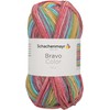 Schachenmayr Bravo Color Hand Knitting Yarn, 50 g, Clown