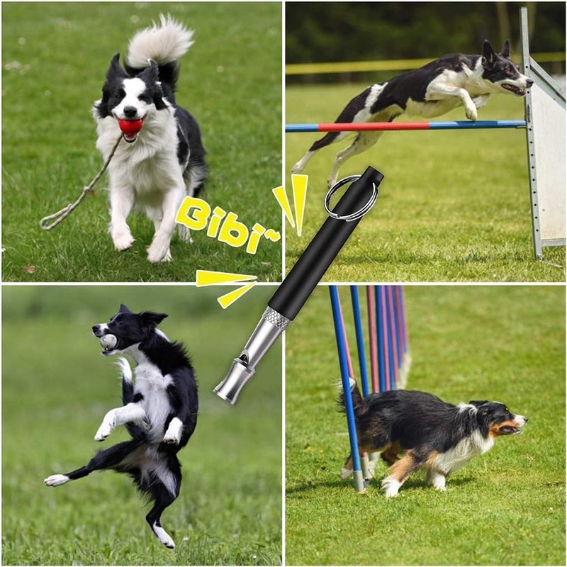 SnugZest Dog Whistle, Ultrasonic Stop Barking Silent, Adjustable Dog Training