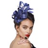 DRESHOW Fascinators Royal Banquet Ribbons Feathers Headwear Cocktail Tea Party