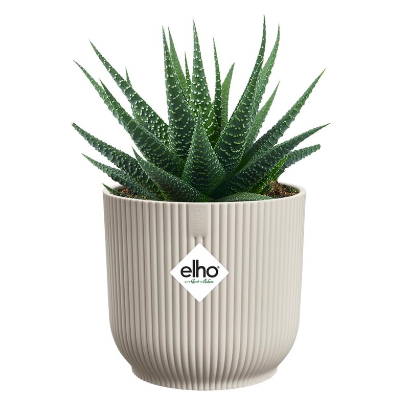 Elho Vibes Fold Round Mini 9cm Vasi per Piante -