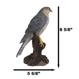 Ebros Gift Realistic Hand Painted Eurasian Sparrowhawk Perching On Tree Stump Figurine 8.5" Tall Small Bird of Prey Taxidermy Sparrow Hawk Home Accent Sculpture