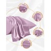 THXSILK Pillow Case Silk Solid Color Hidden Zipper 100% Silk