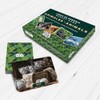 FLINK Juego de Memoria Animal 60 Cartas