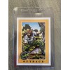 Vintage 1991 GI Joe Hasbro Impel Trading Card #69 OUTBACK