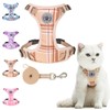 BEAUTYZOO Cat Harness and Leash Set for Walking Escape Proof,