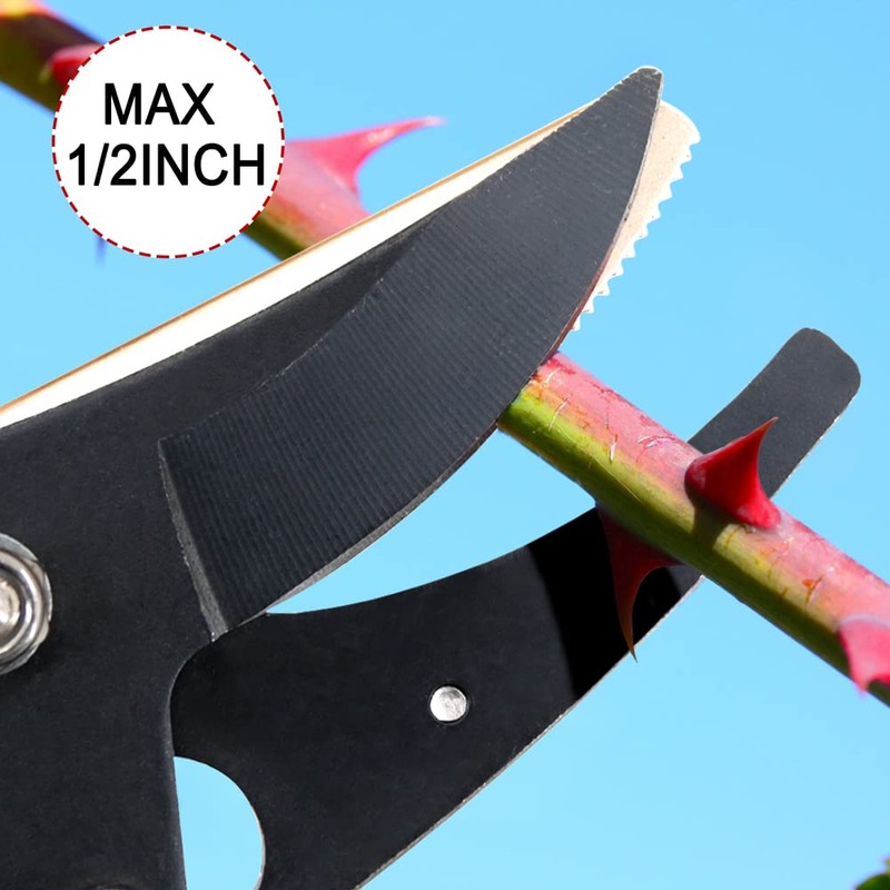 32-Inch Cut and Hold Pruners, Long-Reach Tree Pruner with Rotating