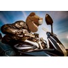 Helmet Cover for Motorcycle Helmet, Fun Design and Gifts (Cover
