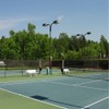 XTARPS - 12' x 14' Tennis Court Wind Screen, Fence