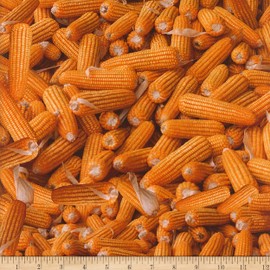 Fruits & Vegetables Corn Yellow, Fabric by the Yard