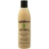 Hydratherma Naturals Moisturizing Boosting Shampoo, 8.0 fl. oz.