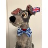 New Dogs Bow Tie Valentine's Day heart pink red LOVE