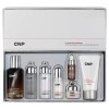 CNP 알엑스 스킨 레쥬버네이팅 프로폴리스 미라클 앰플 스페셜 세트 40ml CNP AX Skin Rejuvenating Propolis Miracle Ampoule Special Set 40ml [Basic Product]