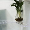 PIAOLGYI Replacement Shelf Set for IKEA Milsbo Glass-Door Cabinet, Horseshoe