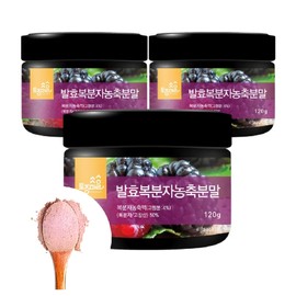 Native Village Fermented Bokbunja Concentrate Powder 120g X 3 Bokbunja Powder / 토종마을발효복분자농축분말 120g X 3개 복분자가루