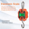 250kg Portable Hand Electronic Scale LCD Display with Backlight kg