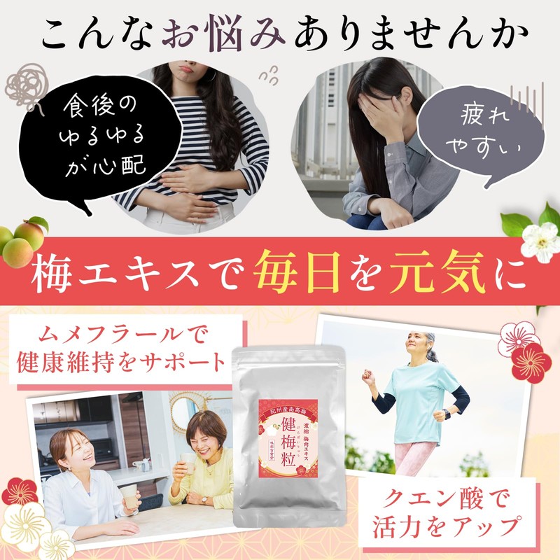 管理栄養士監修 梅肉エキス 梅エキス 粒 健梅粒 塩分不使用 和歌山県産 飲みやすい粒タイプ サプリメント 約400粒