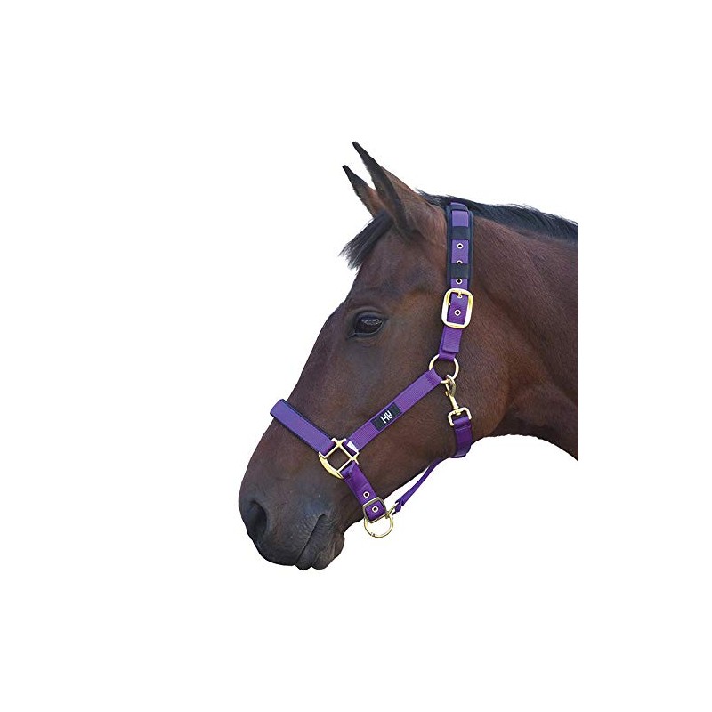 Y-H Hy Deluxe Padded Head Collar - Purple - Pony