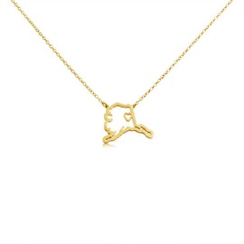 AZAGGI Gold Plated Sterling Silver Handcrafted Home is Where The Heart is Alaska State Pendant Necklace (20)