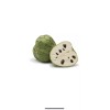 Cherimoya Live Plant Seedling Fruit Tree 12” With Pot Ready