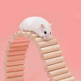 Pet Hideout, Guinea Pigs, Wooden Ladder, Bridge, Rabbit Hideout, House Tunnel, Rodents, Chew Toy for Rabbits, Chinchillas, Hedgehogs, Ferrets, Rats