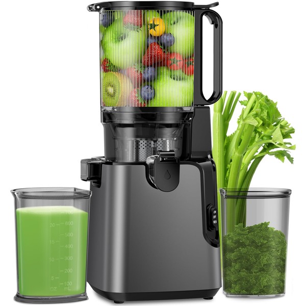 Juicer Machines with 5.8" Large Feed Chute, Cold Press Juicer