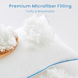 sunflower Throw Pillow Inserts (20 x 20 Inches, Pack of 4, White), Decorative Indoor Pillows with Down Alternative Filled Cushion Bed Couch Sofa, Machine Washable