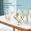 Fruit Scoop Stand Set, Swan Base Holder European Style Metal