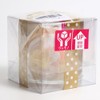 TEATSIGHT Preserved Flower Arrangement, Wrapped, In a Glass Pot, 2 Flowers