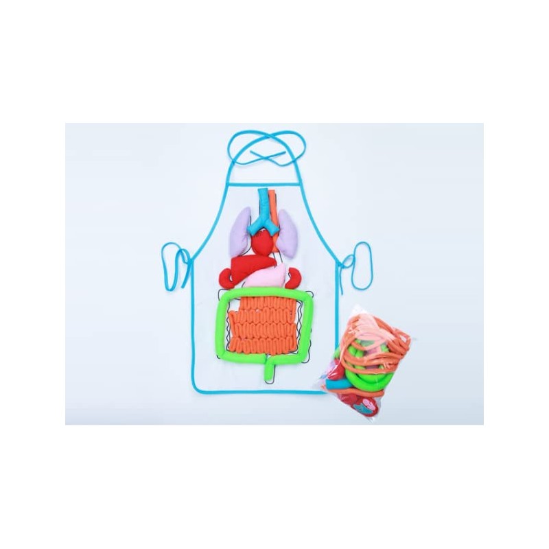 Carocak Apron, Removable, Built-in Apron, Size Description, Educational Toy, Human