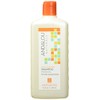 Andalou Naturals Argan Oil & Shea Moisture Rich Shampoo, Orange,