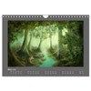 Secrets of the Old Forest (Wall Calendar 2026 DIN A4