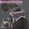 AUTOWT Cat Harness and Leash, Breathable Kitten Escape Proof Harnesses,