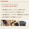 SEIOR Scalp Breeze Brush | Scalp Massage, Quick Drying, Tangle