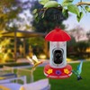 Smart Bird Feeder with Camera, AI Identify Bird Species, Solar-Powered