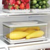 iDesign Small and Large Fridge Produce Bins with Removable Drainage