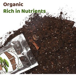 Bonsai Soil Mix 1qt Ready to Use,  Bonsai Tree Soil Fits for Small Bonsai Pot, Suitable for Bonsai Seedling, Repotting, or Bonsai Starter Kit - Colour: 1qt