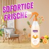 CLENTAIRE Exotic Fruits 6 x 425ml Lufterfrischer, Fruchtiger Raumspray für
