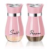 Salt and Pepper Shakers Set,2 PCS Premium Stainless Steel Salt