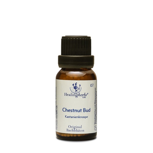 Healing Herbs Bachblüten Chestnut Bud Globules 15g