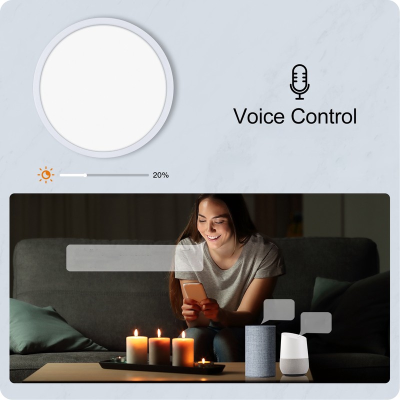 Smart Ceiling Light WiFi 25W Cold and Warm Light RGB